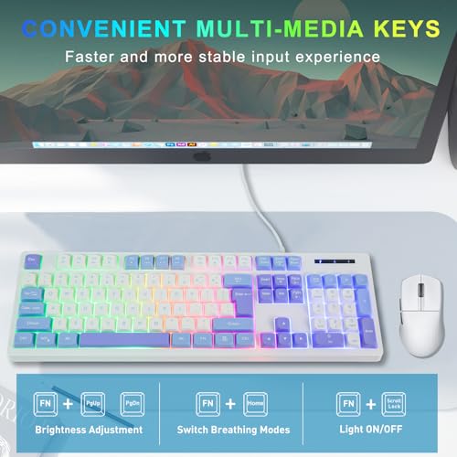 HUO JI Wired Gaming Keyboard with Rainbow LED Backlit, Floating Keys, Mechanical Feeling, Spill Resistant, Ergonomic Full Size for Xbox, PS Series, Desktop, Computer, PC (White Blue) - color: White Blue