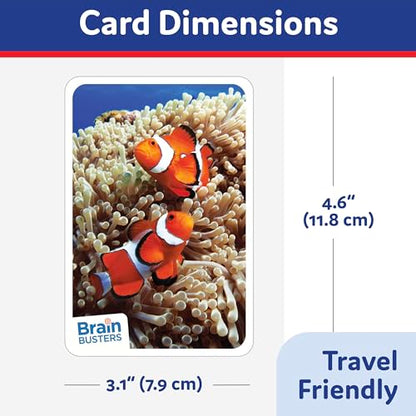 Brain Busters Trivia Card Set, Family Knowledge Cards Bundle with 120 Flash Cards - Multiple Choice Topics Including Environment, Sports, Ocean Life and Nature (Ages 6+) - style: Sports