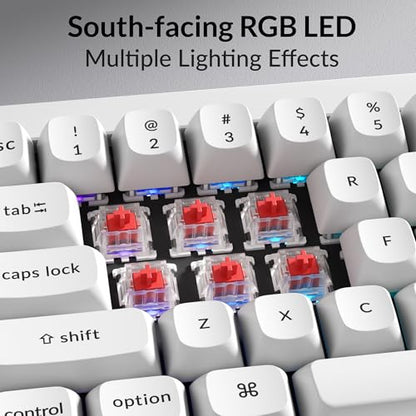 Keychron Q4 Wired Custom Mechanical Keyboard, QMK/VIA Programmable Macro, Full Aluminum, Hot-Swappable Gateron G Pro Red Switch, 60% Layout Double Gasket Compatible with Mac and Windows - White - color: White (Gateron G Pro Red Switch)