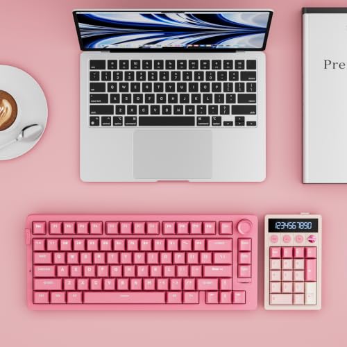 RK ROYAL KLUDGE M20 Wireless Number Pad, Mechanical Numpad with LCD Display, PC Numpad & Calculator Modes, Programmable Numeric Keypad, Bluetooth/2.4G/Wired, RGB Hot-Swappable for Win/Mac - color: Pink