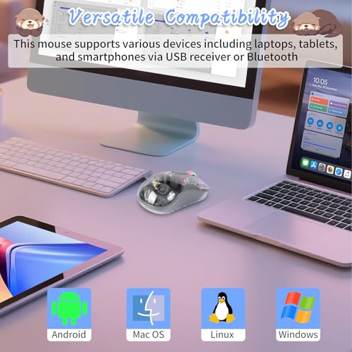 elec Space Cute Wireless USB C Mouse - Bluetooth Triple Mode Rechargeable Cartoon Mouse for Laptops, iPads & MacBook Air/Pro - Silent Operation, Portable Design, Unique Magnetic Character (Grey) - color: grey
