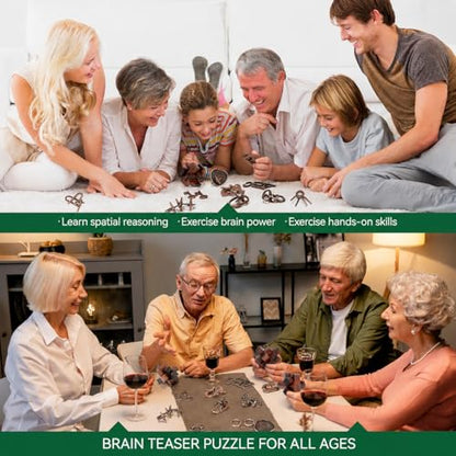 24 Pcs Brain Teaser Puzzles for Adults - Metal Puzzles 3D Puzzle Game Toys for Adults Teens - Wooden Unlock Interlocking Puzzle Adult IQ Education Smart Toys - style: Style B