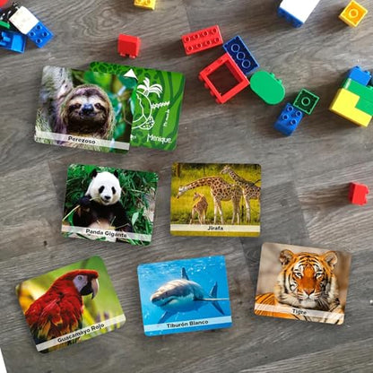 Menique Wild Animals Memory Matching Game – 80 Cards (40 Pairs) with Real Photos – Includes Educational Booklet with Animal Facts – Fun & Cognitive Game for Kids and Adults