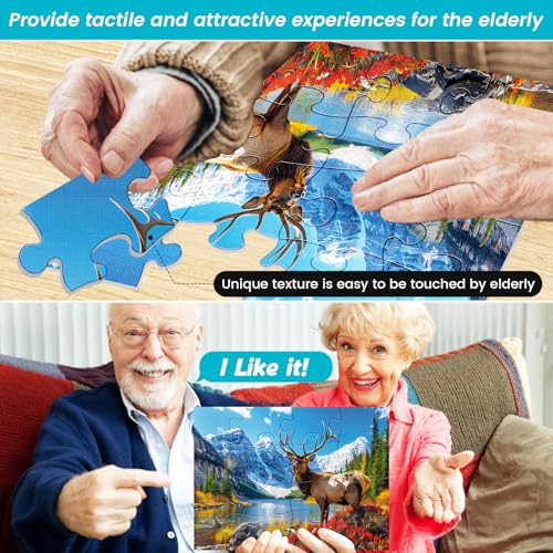6 Packs 16 Large Piece Puzzle for Seniors, Alzheimer Dementia Puzzles for Elderly Adults, Dementia Alzheimer's Products Activities Memory Cognitive Games Jigsaw Puzzles with 6 Storage Bags - style: 16 Large Pieces