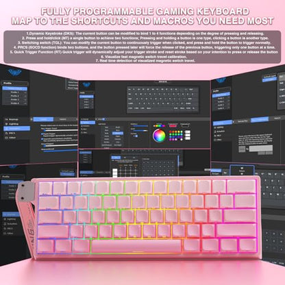 Aula WIN60 HE - 60% Mechanical Gaming Keyboard Wired, Hall Effect Magnetic Switch Hot Swappable,8000 Hz Polling Rate, RGB Keyboard 60 Percent Compact Design for PC (Gradient Pink) - color: Gradient Pink