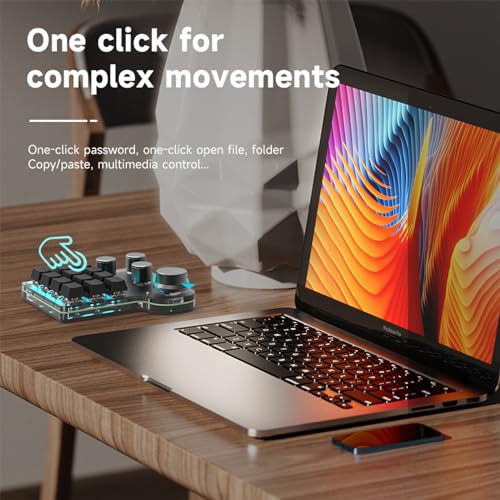 12 Keys Programmable Keyboard with 4-Knobs, One Handed Macro Pad, RGB Backlight Hot-swapping USB Designer Mini Keyboard for Gaming/Office/Work/PS - color: 12Key 4Konb 2.4G