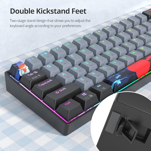 Grey and Black Mechanical Gaming Keyboard 65 Percent, Red Switch RGB Keyboard 65%, 68 Keys Small Wired Key Board, PBT Keycaps Anti-Ghosting Mini Keyboards for Game/Office (68 Dolch) - color: 68 Dolch/Red Switch