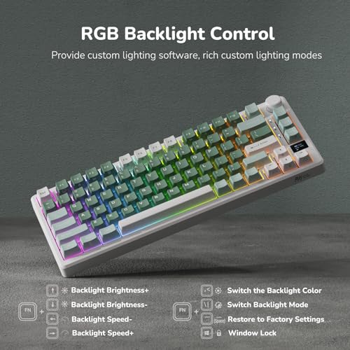 RK ROYAL KLUDGE M75 Wireless Mechanical Keyboard 2.4Ghz/BT5.1/USB-C Gaming Keyboard 75% Layout 81 Keys Gasket Mount with OLED Display & Knob RGB Backlight Hot-Swappable Pale Green Switch, Green - color: Green, size: Pale Green Switch