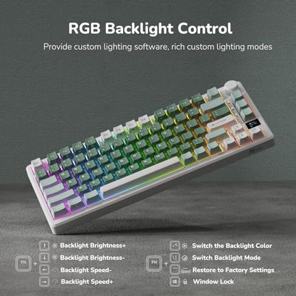 RK ROYAL KLUDGE M75 Wireless Mechanical Keyboard 2.4Ghz/BT5.1/USB-C Gaming Keyboard 75% Layout 81 Keys Gasket Mount with OLED Display & Knob RGB Backlight Hot-Swappable Pale Green Switch, Green - color: Green, size: Pale Green Switch