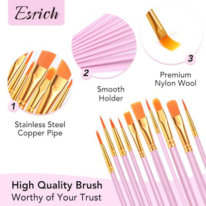 ESRICH Acrylic Paint Brushes Set, 24Packs /240 Pcs, Nylon Brush Head, for Oil Painting, Gouache, Face,Ceramics etc, Kid's and Adults Painting Arts and Crafts Sets.(Pink) - color: Pink, size: 240