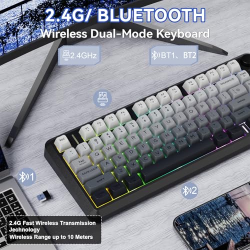 ZIYOU LANG M75 Wireless Gaming Keyboard, RGB Backlit Rechargeable 2000mAh Battery, Small Membrane But Mechanical Feel Keyboard with Smart Display & Knob, PBT Gradient keycaps for PC, MAC-Moonlit Night - color: Moonlit Night
