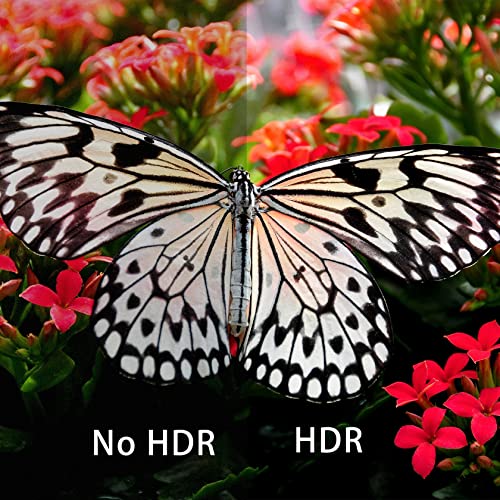 KAGO 7-Port HDMI Switch 4K@60Hz, 7 in 1 Out HDMI Switcher with Remote Control, Supports HDCP 2.2, HDR10, 3D & 18Gbps, Aluminum HDMI Hub Selector for PS5/4, Xbox, Roku, Apple TV, PC - size: 7 ports