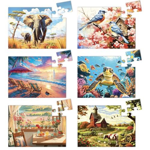 Yigney 6 Pack 16 Large Piece Jigsaw Puzzles for Seniors Alzheimer Product | for Elderly Dementia Activities Memory Game for Patients in Nursing Home with Storage Box - color: 16 Large Pieces