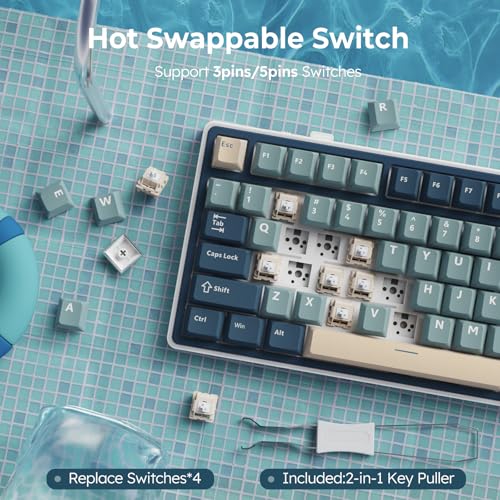 RK ROYAL KLUDGE R75 Wireless Mechanical Keyboard, 75% Percent Custom Gaming Keyboard Gasket Mount RGB Backlit with Knob & PBT Keycaps, BT5.1/2.4GHz/USB-C, Hot Swappable Cream Switch - color: Blue