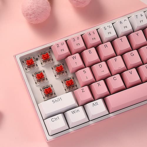 Redragon K617 Fizz 60% Wired RGB Gaming Keyboard, 61 Keys Hot-Swap Compact Mechanical Keyboard w/White and Pink Color Keycaps, Linear Red Switch, Pro Driver/Software Supported - color: Pink