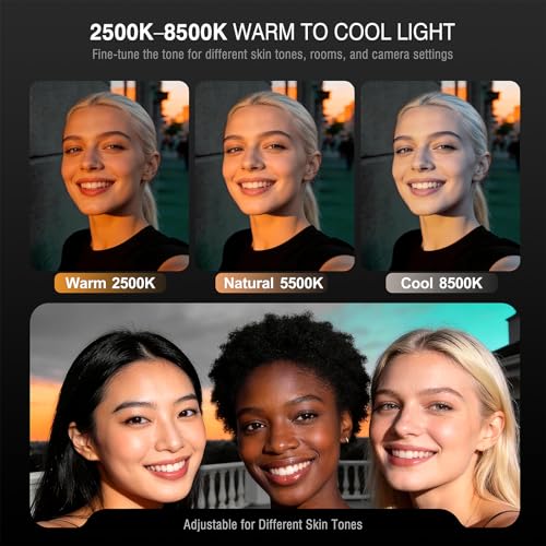 Clip on Ring Light, Stepless Dial Control Selfie Light for iPhone Phone, Rechargeable Portable LED Phone Light for Women, Girls, Makeup, Selfies, Video, Live Streaming, Online Meetings