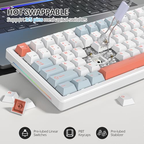 75% Mechanical Keyboard Gasket with Knob, Custom Wired Creamy Gaming Keyboard TKL 75 Percent Hot Swappable RGB Backlit, Pre-lubed Switch for Win/MAC PC Laptop（Salmon/White） - color: Salmon/White Switch