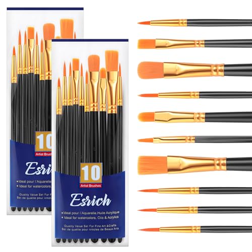 ESRICH Paint Brushes Set,2 Packs 20 Pcs Acrylic Paint Brush Set,Watercolor Oil Acrylic Nylon Hair Brushes,Artist Paintbrushes for Acrylic Oil Watercolor Painting Artist Professional Kits,Black - color: Black, size: 20