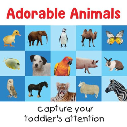 Briarpatch, First 100 Animals Matching Card Game, Based On Board Books by Roger Priddy, Preschool Learning for Kids