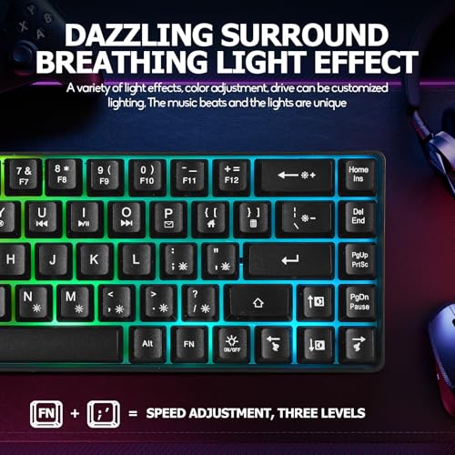 Guiheng Wired Portable 60% Mechanical Feeling Gaming Keyboard,RGB LED Backlit Compact 68 Keys Mini Wired Office Keyboard with Red Switch for Windows Laptop PC Mac - Black - color: black