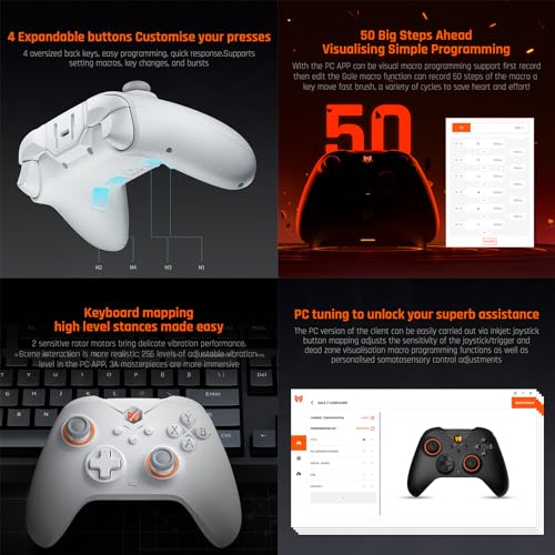 Black Shark BIGBIG WON Gale Wireless Controllers - Motion Aiming, Hall Trigger, 4 Custom Buttons - PC/iOS/Android Gaming Controller with Charging Dock - color: C.GaleSet White