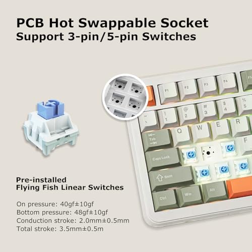 AK820 Max Tri-Mode Mechanical Keyboard, 2.4G Wireless/Bluetooth/USB-C, 75% 82Key Compact Layout, 8000mAh Battery, Hot-Swappable Gasket Mount, PBT Keycaps, RGB Backlit, Metal Knob (Fish Switch, Grey) - color: Retro