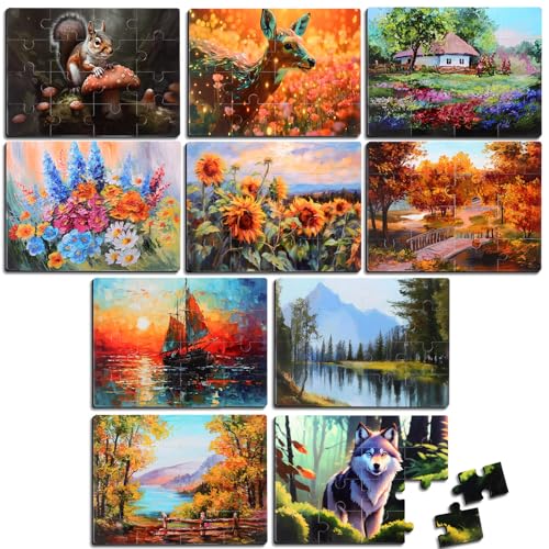 Hiboom 10 Pack 16 Piece Large Jigsaw Dementia Puzzles for Alzheimers Senior Easy Puzzles Dementia Products for Elderly Adults Gifts Memory Cognitive Games Christmas Activities, 9.45 x 12.6 Inch(Novel) - color: Novel