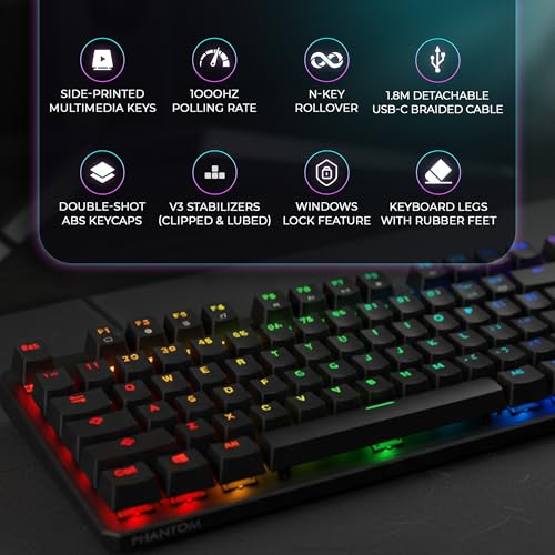 TECWARE Phantom+ 87 Mechanical Gaming Keyboard | RGB LED Backlit | Hot Swappable Wraith Brown Switches | 87 Key TKL Layout | Thocky Sound Profile | Detachable USB-C Wired | Black - color: Brown Switch