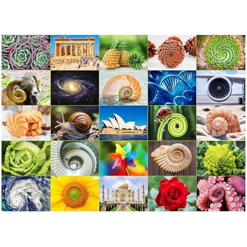BenBen 1000 Piece Puzzle for Adults, 25 Fibonacci Spirals in Nature | Thick & Tight Fit, Jigsaw Puzzles with Letters on Back, Challenging Puzzle for Game Night Home Décor - color: Fibonacci Spirals