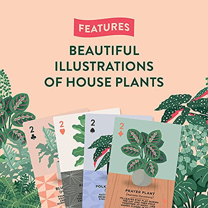 Ridley's Games: Houseplants Playing Cards| 52 Unique Hand-Illustrated Donut Playing Cards – Includes a Durable Storage Tin for Easy Travel – Makes a Great Gift Idea for Plant Parents - style: Houseplants Playing Cards