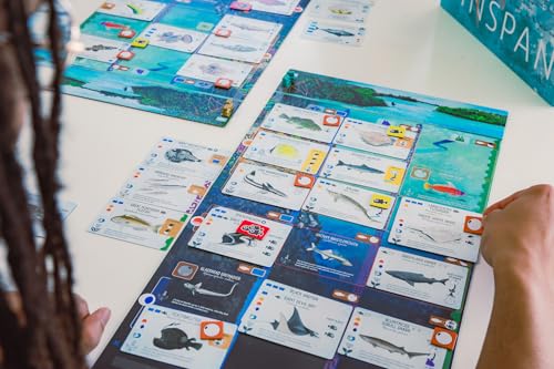 Stonemaier Games: Finspan - A Wingspan Game by David Gordon & Michael O’Connell | A Relaxing Strategy Board Game About Collecting Fish and Ocean Diving for Adults and Family | 1-5 Players, 60 Mins