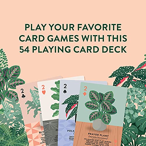 Ridley's Games: Houseplants Playing Cards| 52 Unique Hand-Illustrated Donut Playing Cards – Includes a Durable Storage Tin for Easy Travel – Makes a Great Gift Idea for Plant Parents - style: Houseplants Playing Cards