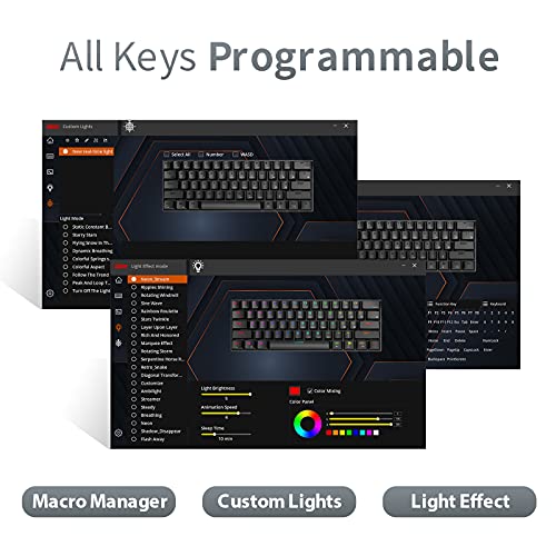 RK ROYAL KLUDGE RK61 60% Mechanical Keyboard with Coiled Cable, 2.4Ghz/Bluetooth/Wired, Wireless Bluetooth Mini Keyboard 61 Keys, RGB Hot Swappable Blue Switch Gaming Keyboard with Software - Black - color: Black, size: Hot-swappable Blue Switch