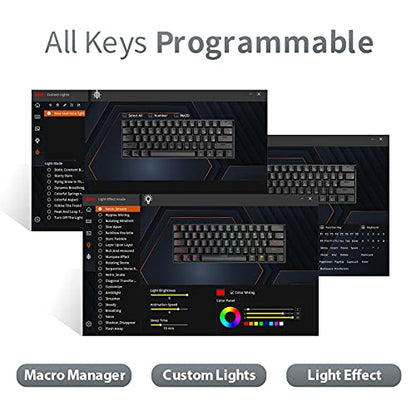 RK ROYAL KLUDGE RK61 60% Mechanical Keyboard with Coiled Cable, 2.4Ghz/Bluetooth/Wired, Wireless Bluetooth Mini Keyboard 61 Keys, RGB Hot Swappable Blue Switch Gaming Keyboard with Software - Black - color: Black, size: Hot-swappable Blue Switch