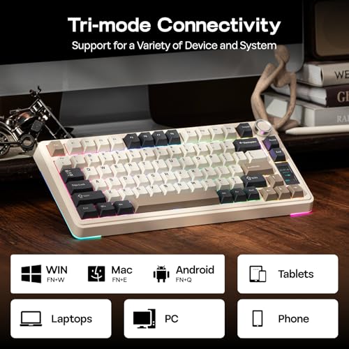 EPOMAKER X Aula EA75 MAX Wireless Gaming Keyboard with Screen & Knob | 5000mAh, Hot-Swap, Lubed Switches, RGB Backlit, Creamy Gasket, 75% Mechanical Keyboard (Retro White, Silent Cotton Candy) - color: Retro White, size: Silent Cotton Candy Switch