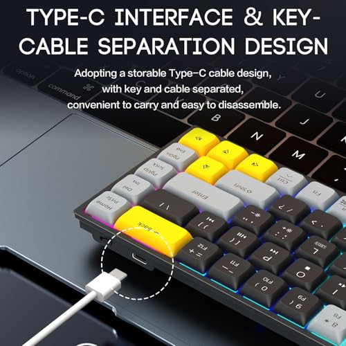 Zopsc Wired Computer Keyboard, Quiet Anti Ghosting Slim Keyboard with RGB Backlit, Scissor Switch Compact 68 Keys Keyboard for Work Gaming, Office Laptop - color: Black Gray