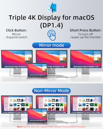 13 in 1 USB C Docking Station - Dual Monitor, Triple Display, 8 USB C/A Ports, Ethernet, Audio - LIONWEI USB C Hub for MacBook,Dell,HP,Lenovo,Surface - color: 13-in-1 Docking Station (USB C)