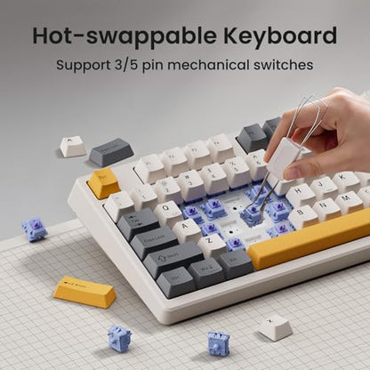Kisnt KN85 Wireless Mechanical Keyboard, 75% Layout, Bluetooth/2.4GHz/USB-C, Custom RGB Backlit, Hot-Swappable Linear Switch, Creamy Sound for Gaming/Typing (Retro Beige) - color: Retro Beige