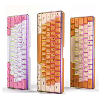 Dioche Mini Keyboard, 60 Percent 61 Keys Wired Gaming Keyboard RGB Small Gaming Keyboard Imitated Mechanical Compact for Typist Desktop, Laptop (Pink White)