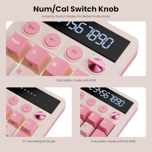 RK ROYAL KLUDGE M20 Wireless Number Pad, Mechanical Numpad with LCD Display, PC Numpad & Calculator Modes, Programmable Numeric Keypad, Bluetooth/2.4G/Wired, RGB Hot-Swappable for Win/Mac - color: Pink