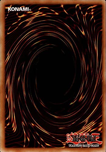 2016 Yu-Gi-Oh Starter Deck Yuya 1st Edition #YS16EN019 Dragon Dowser C
