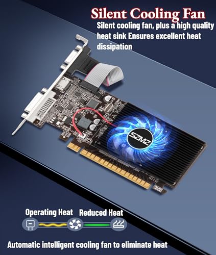 Bewinner GT610 Computer Graphics Card, 2GB DDR3 64bit PCI Express X16 Graphics Card with DVI, VGA, HDMI Interface for Computer Desktop