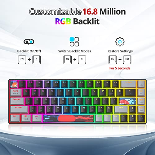 Owpkeenthy Portable 65% Percent Mechanical Gaming Keyboard, Mini Wired Ultra Compact RGB 68 Keys Office Keyboard with Red Switch Backlit for PC/PS5/XBOX(Dark/ 68 Red Switch) - color: Dark/ 68 Red Switch