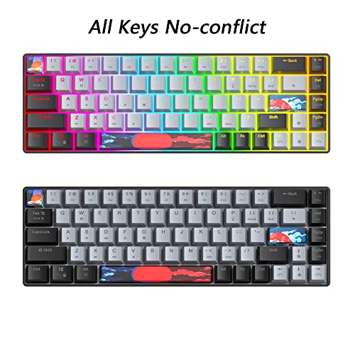 Protable 60% Percent Gaming Keyboard Mechanical, Mini Compact RGB Backlit 68 Keys Wired Office Keyboard with Red Switch for Mac/Win (Dolch/red Switch 68) - color: Dolch/red Switch 68
