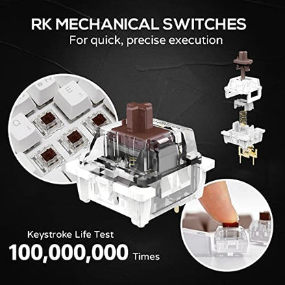 RK ROYAL KLUDGE RK61 60% Mechanical Keyboard with Coiled Cable, 2.4Ghz/Bluetooth/Wired, Wireless Bluetooth Mini Keyboard 61 Keys, RGB Hot Swappable Brown Switch Gaming Keyboard with Software - Black - color: Black, size: Hot-swappable Brown Switch