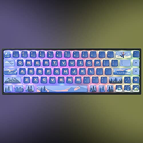 Polar Region ASA Custom keycaps ，118 Keys Double-Shot Key Cap Set for Cherry/Gateron MX switches 60 Percent / 64/61 Gaming Mechanical Keyboard(Polar Region Blue) - color: Polar region Blue