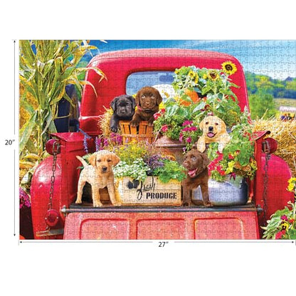 RoseArt Kodak Premium Stowaways 1000 Piece Jigsaw Puzzle for Adults | 20" x 27" Finished Size, Fully Interlocking Pieces, Bonus Poster Included, Made in USA - style: Stowaways