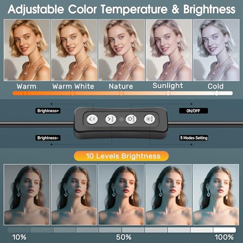 16W 2PCs Video Conference Lighting, LED Streaming Light Clip-On, Zoom Lighting for Computer Monitor Webcam Laptop, Desk Ring Light for Video Recording Podcast, Eye-Caring&360° Rotary Backlight