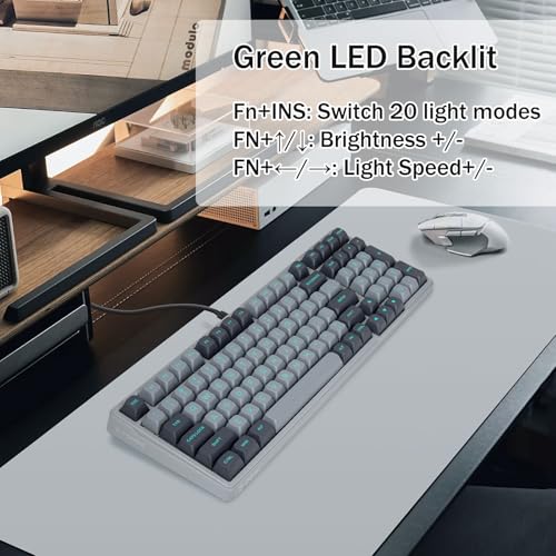Wired Mechanical Gaming Keyboard, Creamy Sound, Pre-lubed Linear Switches, Gasket Structure with Sound Dampening Foam, Green LED Backlit RGB Side Light, 99 Keys Custom Keyboard for PC,Gray/Black