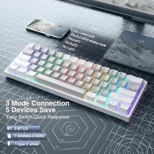 SK961 60% Wireless Gaming Keyboard with Triple Mode BT5.0/2.4GHz/USB-C Wired,RGB Backlight 61 Keys Wireless 60% Keyboard Hot Swappable Mechanical Keyboard,Red Switch - color: SK961-greywhite-redswitch